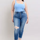 Button Fly Distressed Jeans with Pockets Plus Size